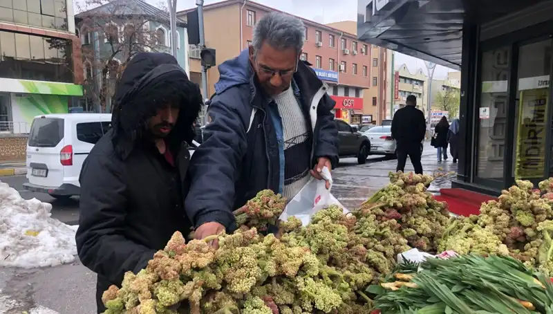 Kendiliğinden Yetişen Vitamin Deposunun Gizemi: Kanserle Savaşta Umut Işığı