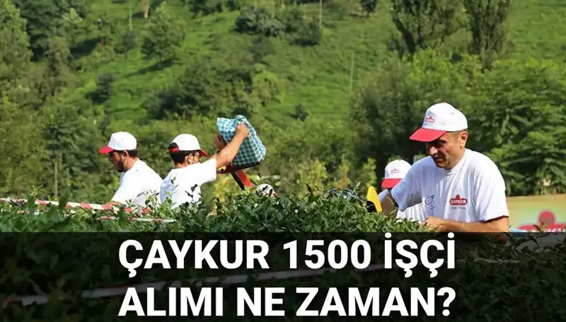 Çaykur İşçi Alımı Başvuru Tarihleri Açıklandı: Fırsatlar Kaçırılmayacak!