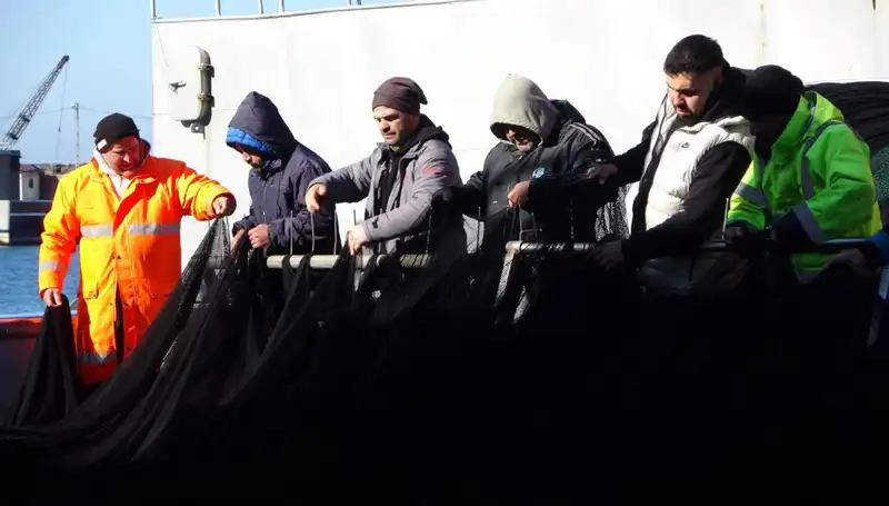 Hamsi Avında Müjdeli Haber: Balıkçılar Cazip Alternatiflere Yöneliyor
