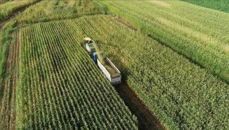 2025 Mart Ayında Mazot ve Gübre Desteği Ödemeleri Hakkında Son Gelişmeler