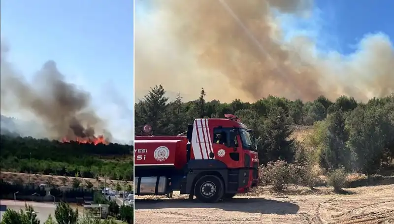 Gebze'de Orman Yangını: Yangının Sebepleri ve Yavaş Yavaş Yayılması