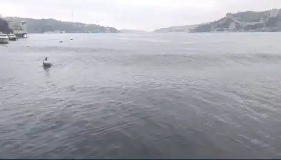 İstanbul’u Sarsan 6,2 Büyüklüğündeki Deprem: Denizde Yükselen Dalgalar Neleri Gösteriyor?