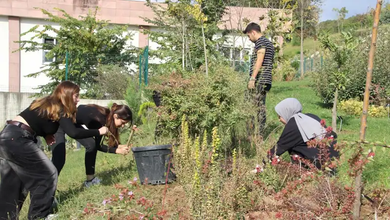 Düzce'nin Gözbebeği: Hayal ile Gerçek Arasında Sıra Dışı Başarı Hikayesi