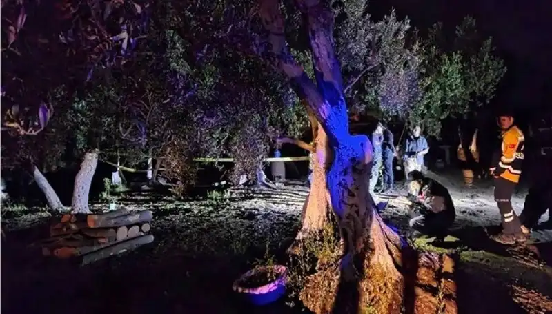 Çiftlikteki Baltalı Vahşete Dikkat Çeken Tutuklama: Olayın Ayrıntıları Şok Edici
