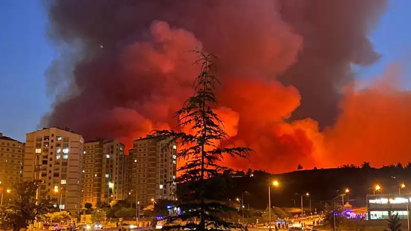 Bursa'da Yangınlar Küçük Büyük Her Yeri Sardı, Tedirginlik Yarattı
