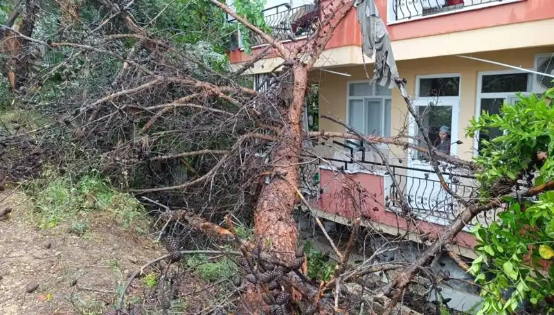 Korkunç An: Yağmur, Yüksek Bina Üzerine Devrildi!