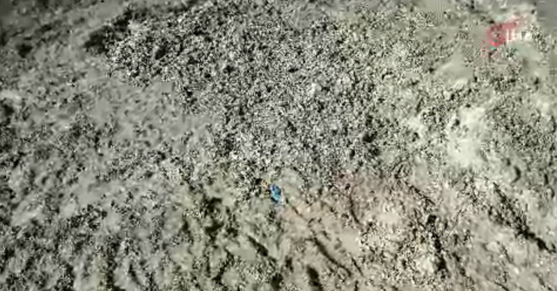 İstanbul’da Şok Eden Cinayet: Kayıp Çinli İş Adamı Toprağa Gömülü Bulundu