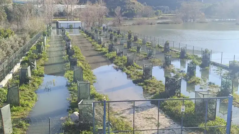 Irmak Taştı: Otoyol Şantiyesi Sular Altında Kaldı