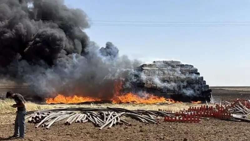 Mardin'de Anız Yangını: Felaketin Ardındaki Nedenler ve Çözüm Önerileri