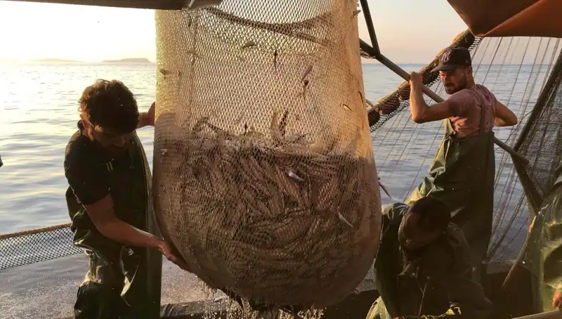 Balıkçılar Paydos Ediyor: İhlal Edenlere Binlerce Lira Ceza!