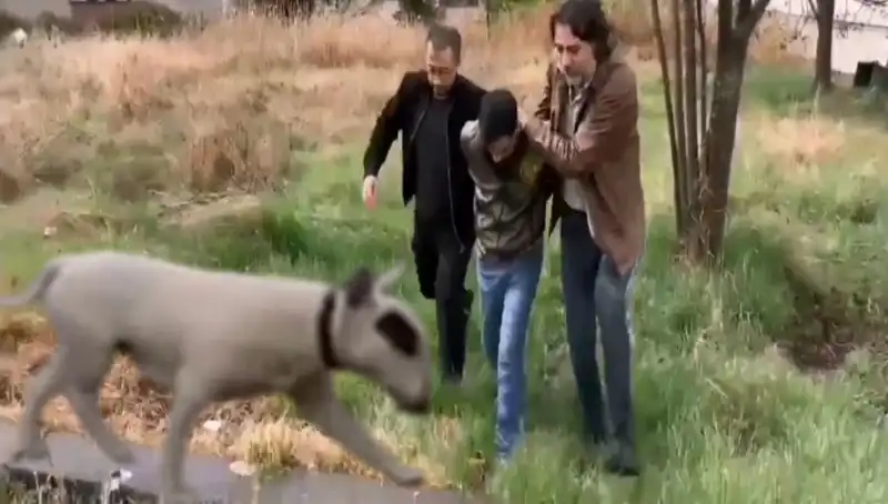 430 Bin Lira Değerindeki Şampiyon Köpeği Çaldı: Hırsız Ele Geçirildi!