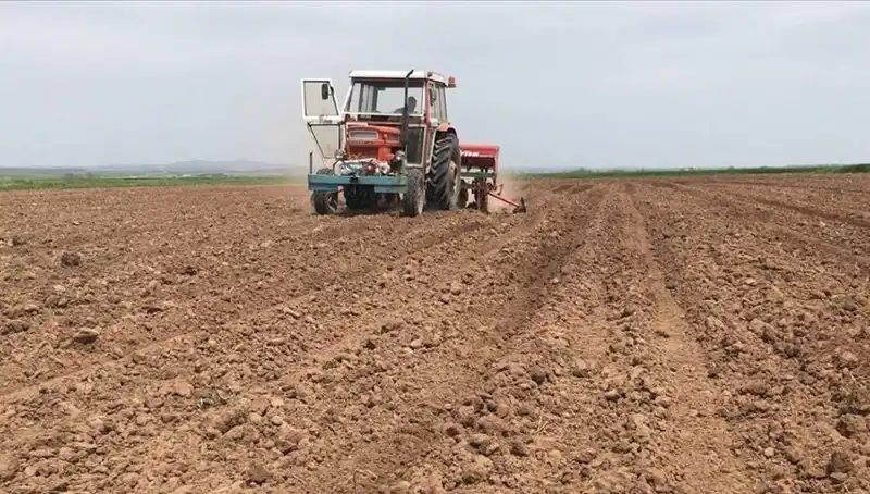 Son 35 Yılda Görülen En Şiddetli Kuraklık: Mart Ayı Yağışları Yüzde 59 Düştü