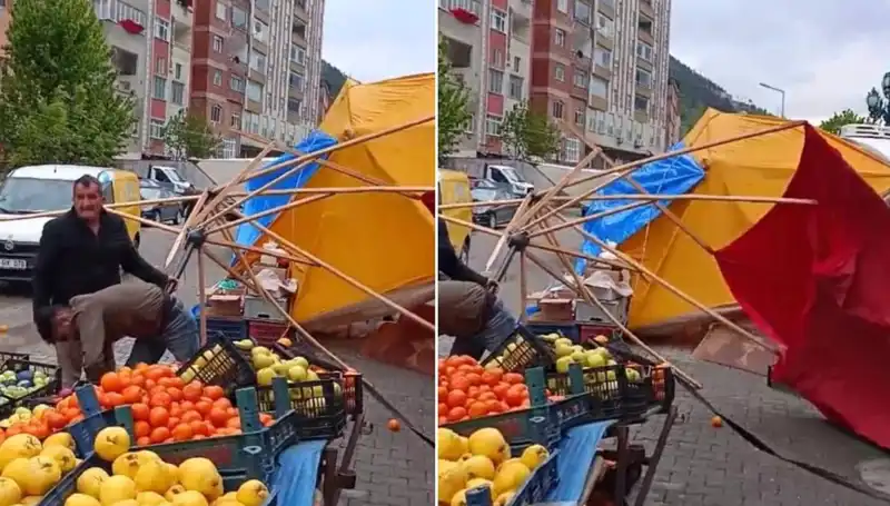 Artvin'de Dev Fırtına Hayatı Olumsuz Etkiledi: Sıkıntılar ve Çözüm Yolları