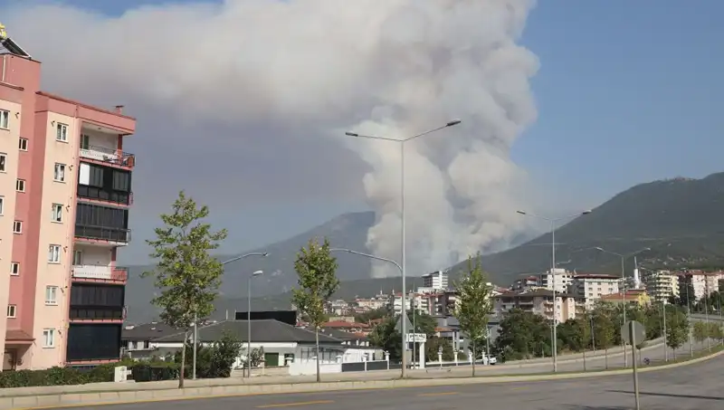 Denizli’de Orman Yangını: Şüpheli Gözaltına Alındı, Yangının Nedeni Araştırılıyor