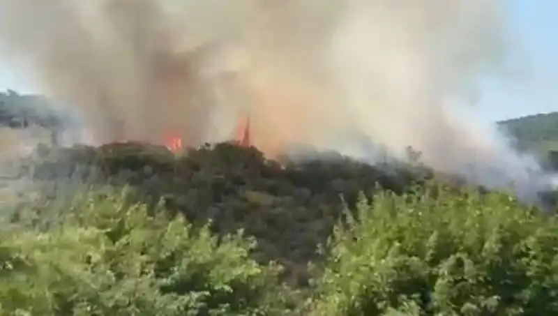 İstanbul Orman Yangını: Acil Tahliye İle Hayat Kurtarıldı
