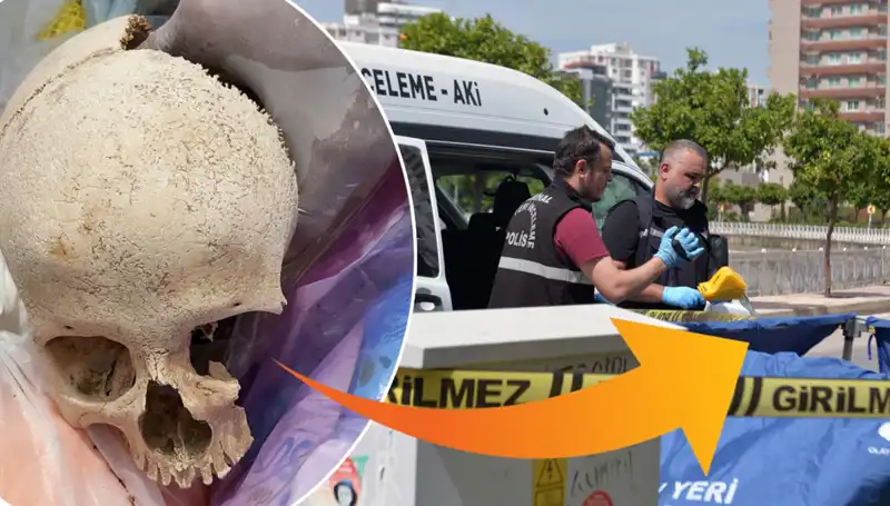 Sitenin Çöpünden Çıkan Kafatası Olayı: Uzman Doktor Gözaltında!