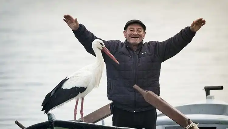 Yaren Leylek Kış Gözlemcilerini Heyecanlandırıyor: Alper Tüydeş’in Açıklamaları