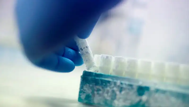 Tıbbi Felaket: 85 Sperm Donörü, Binlerce Çocuğa Baba Oldu