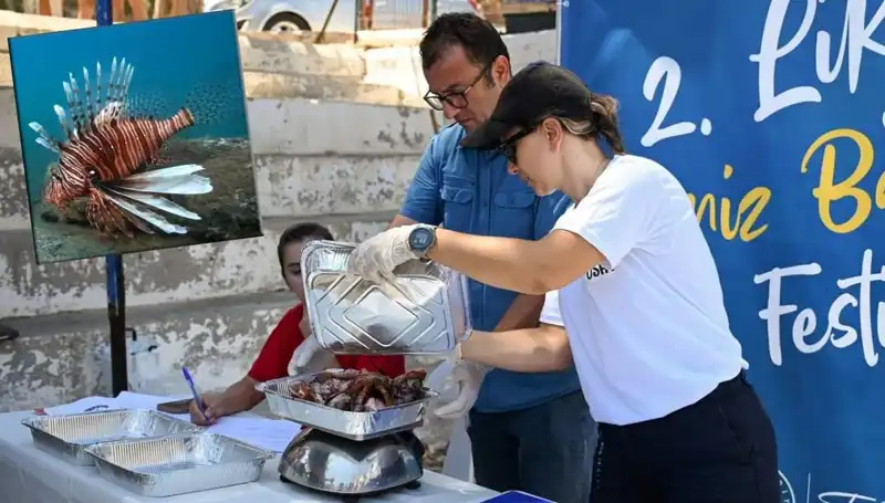 Antalya'da Israrla Artan İstilacı Aslan Balığına Karşı Mücadele Yarışması