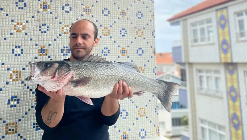 7,5 Kiloluk Dev Levrek Türkiye'nin Su Altında Saklı Hazinesi