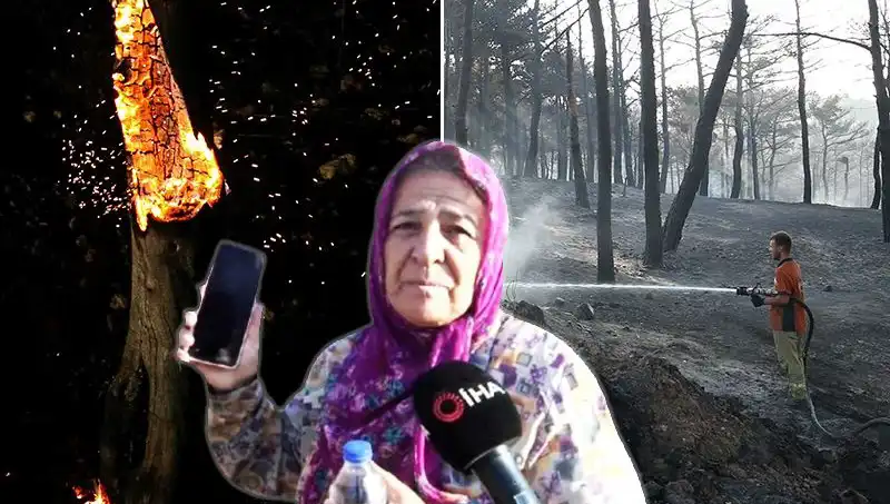Çanakkale'deki Orman Yangınları Kontrol Altına Alındı: Diğer Kayıplar Ne Olacak?