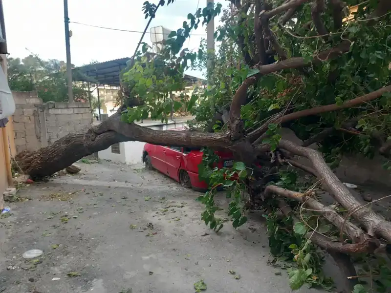 Hatay’da Şiddetli Fırtına Ağaçları Devirdi ve Çatıları Uçurdu