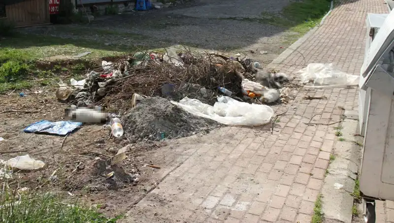 Antalya'da Korkunç Kediler Vahşeti: 10 Kedi Ölü Bulundu