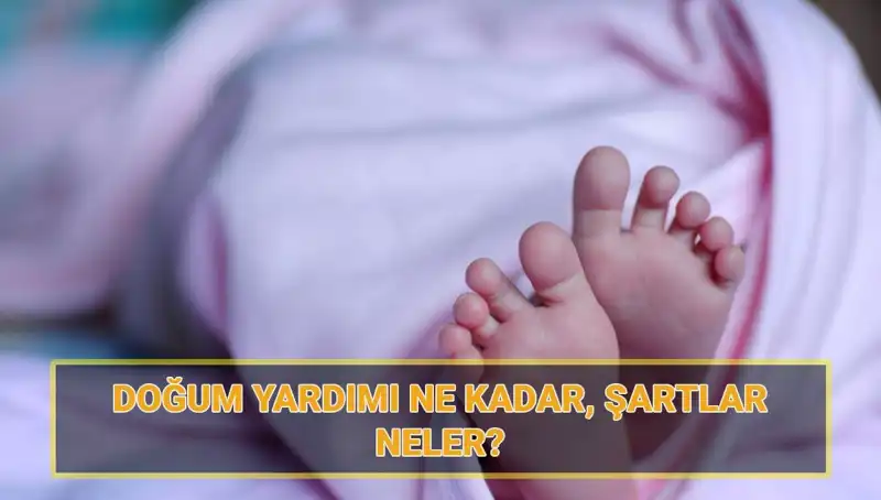 2025’te 5 Bin Lira Doğum Yardımı Başvuru Ekranı: Çocuk Parası Nasıl Alınır?