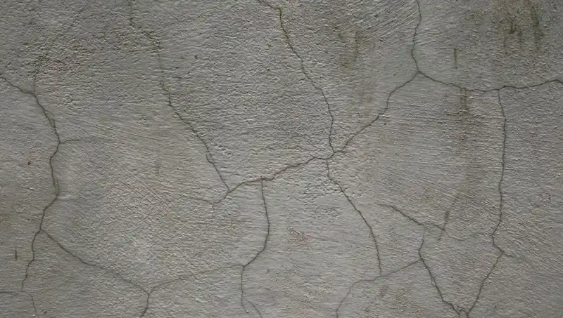 Akıllı İnşaatın Geleceği: Canlı Betonun Çatlakları Kendi Kendine Onarıyor